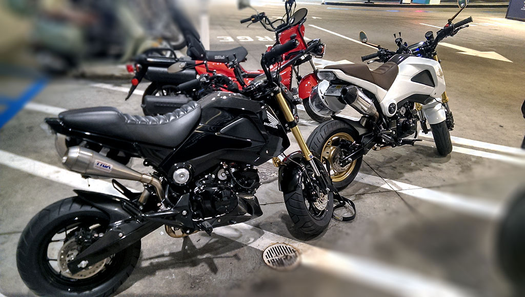 Is Two better than One???? Honda Grom